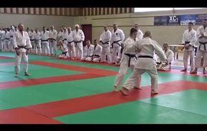 2018-01-28 Démo Jujitsu A. Trolet cérémonie des voeux