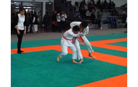 WEEK-END JUDO 