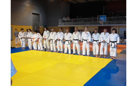 2019-01-20 coupe des ceintures Noires 