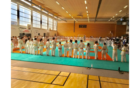 2019-03-16 Tournoi organisé par le Club (Eveil judo - mini poussins - poussins)