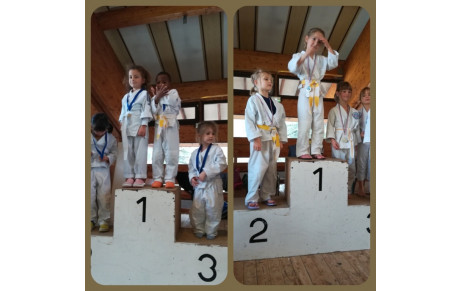 tournoi du Bremon ce samedi 23/11/2019.  Eveil judo/mini poussins