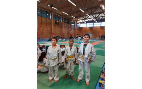 Samedi 16/04 Tournoi des petits Tigres à Viuz en Sallaz