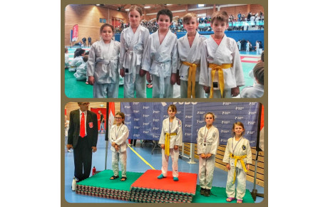 Tournoi des Petits Tigres à Viuz en Sallaz Ce dimanche 4-12-2022